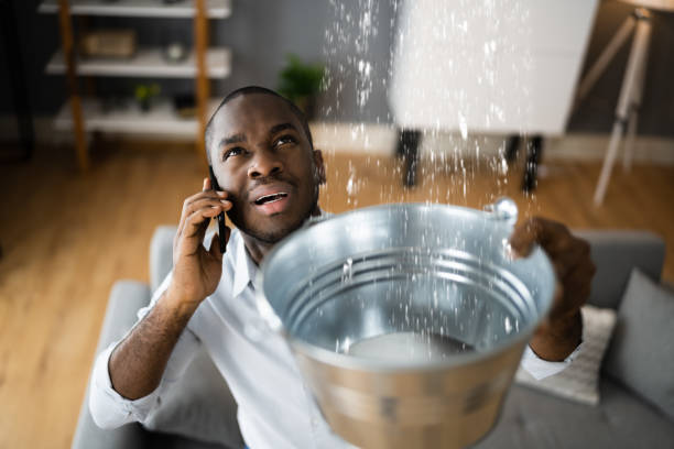 Best Professional water damage repair  in Knoxville, TN