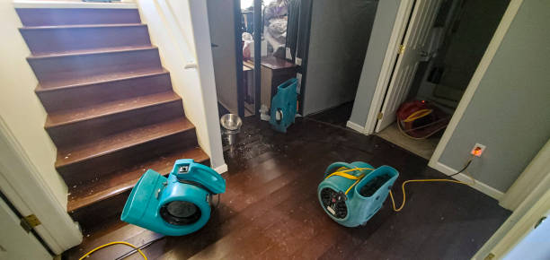 Best Water damage restoration near me  in Knoxville, TN