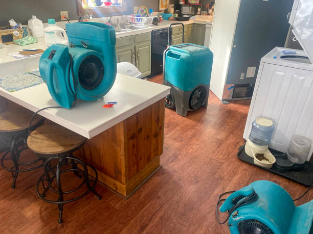 Best Sewage cleanup and water damage restoration  in Knoxville, TN