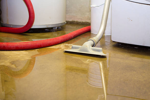 Best Commercial water damage restoration  in Knoxville, TN
