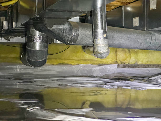 Best Water damage contractors near me  in Knoxville, TN