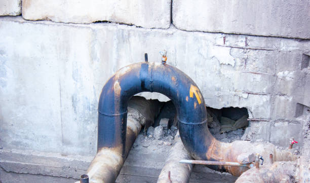 Best Mold removal after water damage  in Knoxville, TN